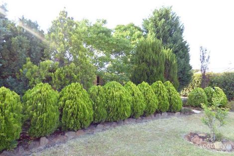 Property photo of 1 Lee Court Crows Nest QLD 4355