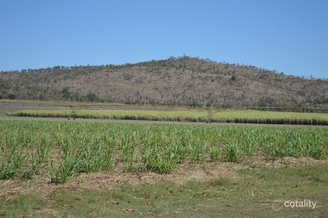 107 Walsh Rd, Mutchilba, QLD 4872