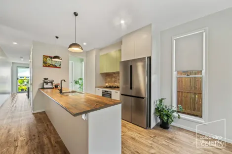 Property photo of 58 Boab Circuit Nirimba QLD 4551