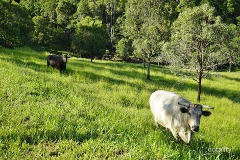 Property photo of 415 Jackson Road Wamuran QLD 4512