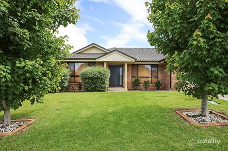 58 Newton Cct, Thurgoona, NSW 2640
