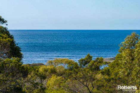 Lot 101/248 Harveys Farm Rd, Bicheno, TAS 7215