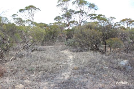 Lot 120 Wilson St, Wyalkatchem, WA 6485