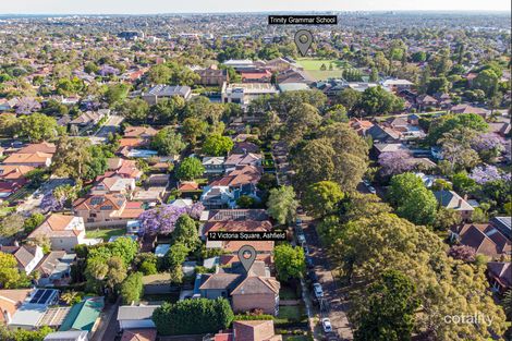 Property photo of 12 Victoria Square Ashfield NSW 2131