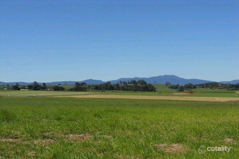 Property photo of 98 Jessica Road Peeramon QLD 4885