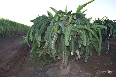 1 Wallace Dr, Bundaberg North, QLD 4670