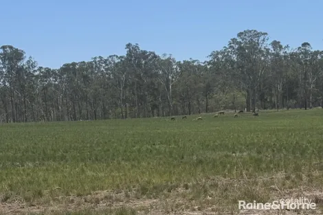 Property photo of LOT 4 Sarnadskys Road Bucca QLD 4670