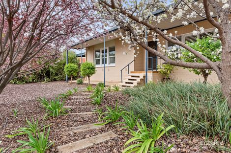 Property photo of 75 Drabsch Street Loxton SA 5333