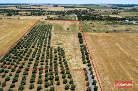 Lot 32 Parkers Rd, Gawler Belt, SA 5118