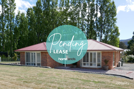 Property photo of 51 Mountain River Road Grove TAS 7109