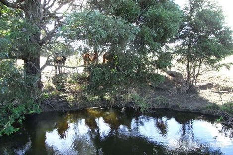 Property photo of 10 Charles Street Kalbar QLD 4309