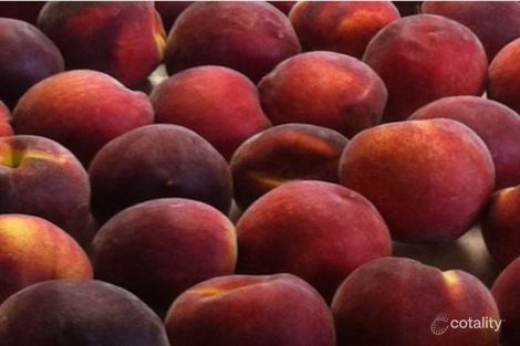 104 Kumbia Minmore Rd, Kumbia, QLD 4610