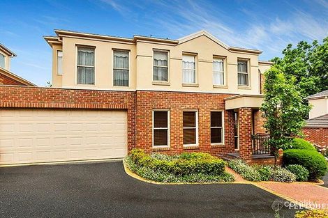 Property photo of 4/8 Hamel Street Box Hill South VIC 3128