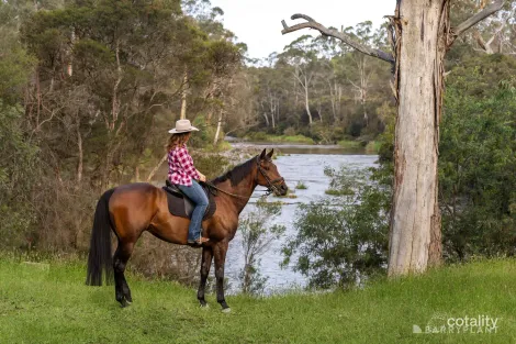 Property photo of 80 Bourchiers Road Kangaroo Ground VIC 3097