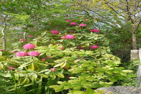 Property photo of 56 Stawell Street Romsey VIC 3434