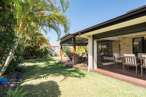 Property photo of 9 Coney Court Mountain Creek QLD 4557