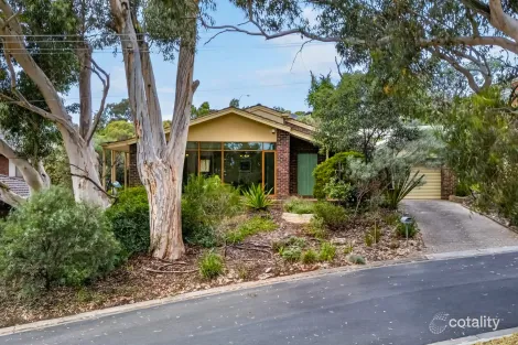 7 Ritz Bvd, Pasadena, SA 5042