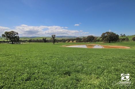 746 Maroondah Hwy, Merton, VIC 3715