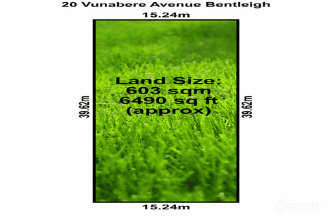 Property photo of 20 Vunabere Avenue Bentleigh VIC 3204