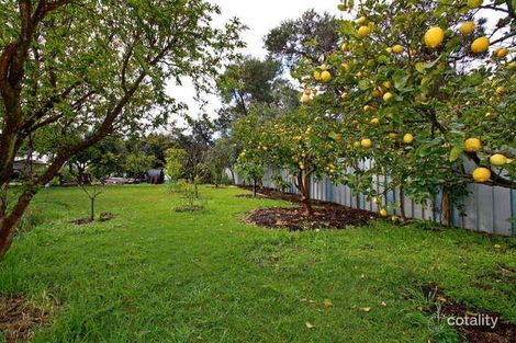 Property photo of 61-63 Golf Parade Rye VIC 3941