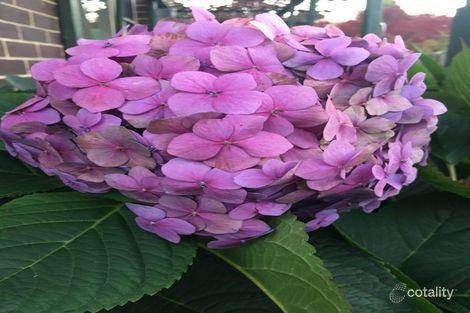 Property photo of 2A Alder Place Bowral NSW 2576