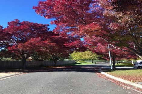 Property photo of 2A Alder Place Bowral NSW 2576