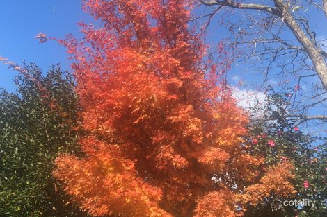 Property photo of 2A Alder Place Bowral NSW 2576