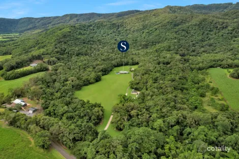 Property photo of 136 Cassowary Road Cassowary QLD 4873