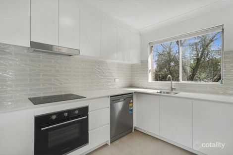 Property photo of 3/4 Pine Street Randwick NSW 2031