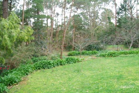 Property photo of 14 Bracken Road Stirling SA 5152