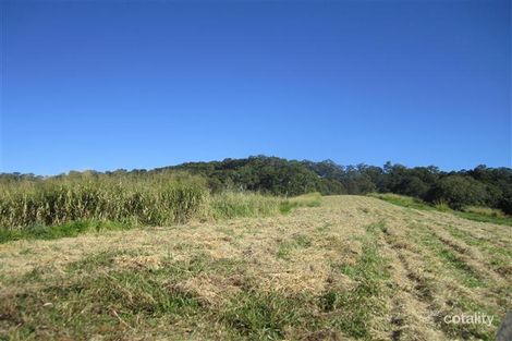 Property photo of 312 Cootharaba Road Cootharaba QLD 4565