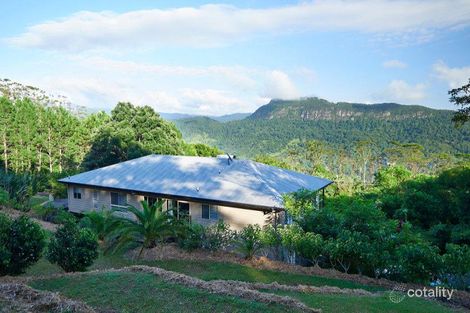 Property photo of 771 Tomewin Mountain Road Currumbin Valley QLD 4223