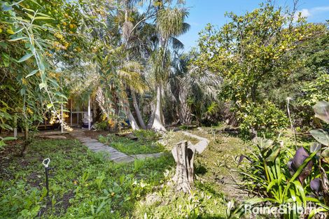 Property photo of 119 Capel Drive Capel WA 6271