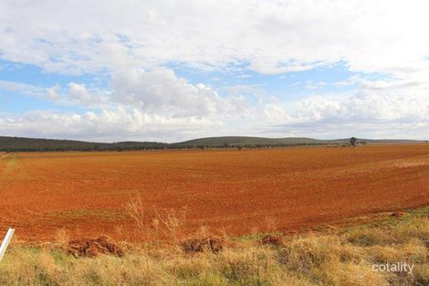 1646 Rankins Springs Rd, Myall Park, NSW 2681