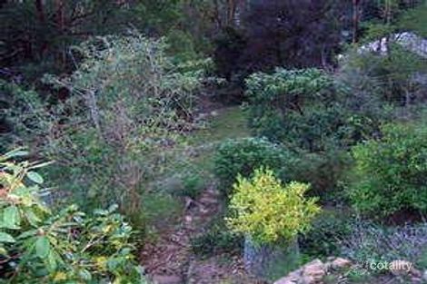 Property photo of 115 Inverness Avenue The Basin VIC 3154