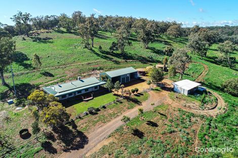 Property photo of 1290 Ballimore Road Geurie NSW 2818