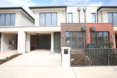 Property photo of 41 Billy Buttons Drive Narre Warren VIC 3805