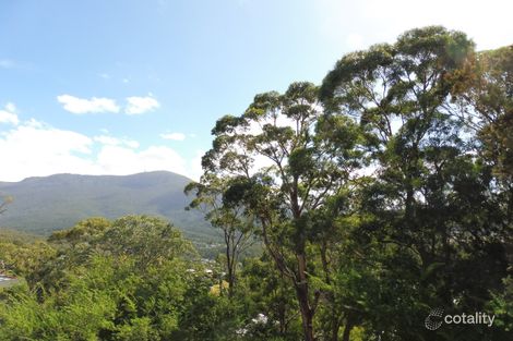 Property photo of 13 Grayling Avenue South Hobart TAS 7004