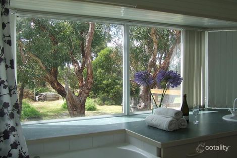 Property photo of 9 Dune Street Scamander TAS 7215