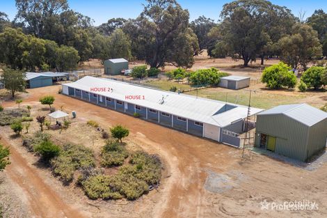 Property photo of 264 Tuart Grove Avenue Lake Clifton WA 6215