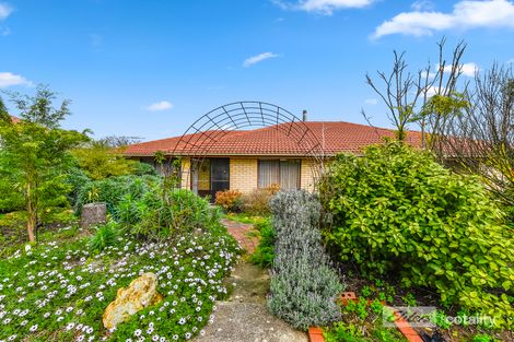 Property photo of 49 Main Street Millicent SA 5280