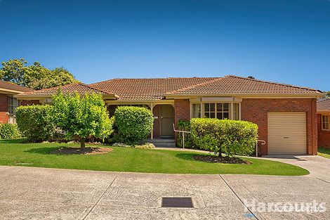 Property photo of 3/219-221 Gallaghers Road Glen Waverley VIC 3150