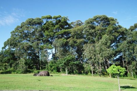 Property photo of 11 Firetail Street Tweed Heads South NSW 2486