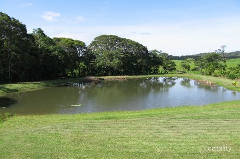 Property photo of 25 Rainforest Drive Julatten QLD 4871