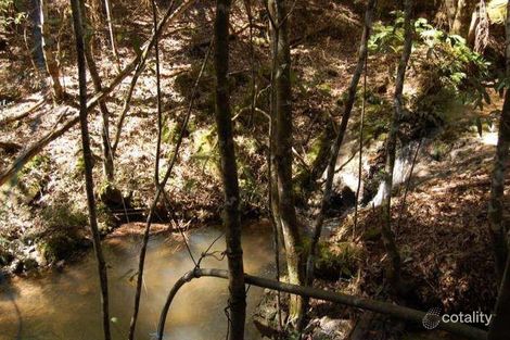 Property photo of 151 Beverleys Road Megan NSW 2453