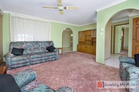 Property photo of 46 Casuarina Circuit Warabrook NSW 2304