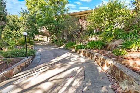 Property photo of 18 Caithness Avenue Beaumont SA 5066