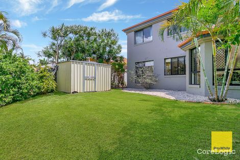 Property photo of 336 Bloomfield Street Cleveland QLD 4163