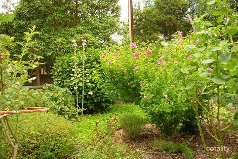 Property photo of 10 Arthur Street Fullarton SA 5063