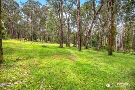 22 Fisherman Dr, Reefton, VIC 3799